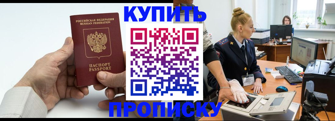 временная регистрация поиск в Курской области